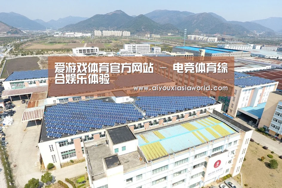 案例展示二