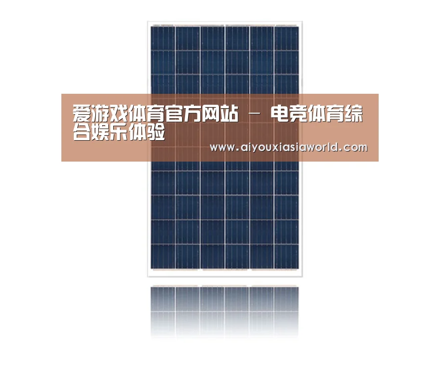产品名称一