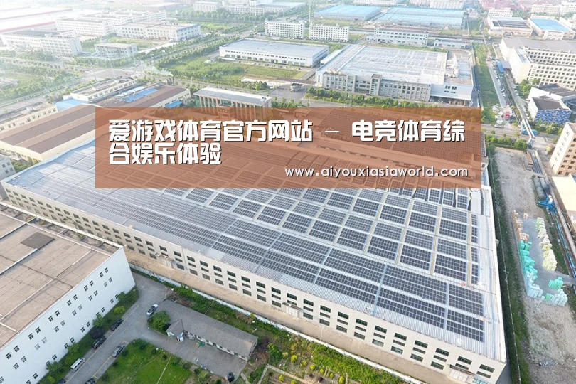 案例展示二