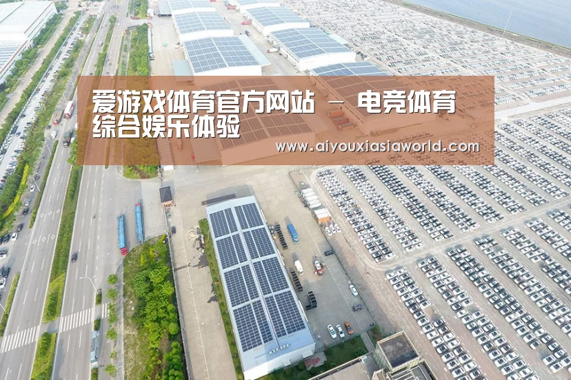 案例展示四