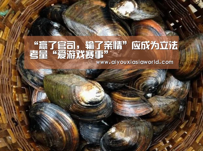 爱游戏真人