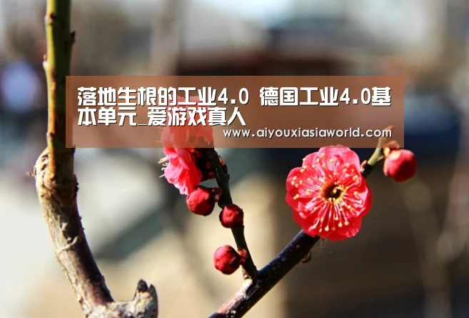 落地生根的工业4.0 德国工业4.0基本单元_爱游戏真人(图1) 爱游戏真人