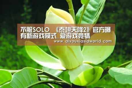 爱游戏APP